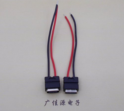 东莞type c2p防水母座焊线式带线注塑成型带接线端子/不带接线端子充电连接器