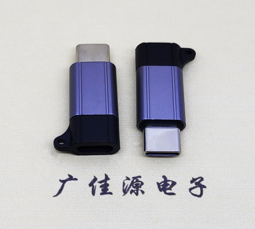 东莞Type-C母转Type-C公 USB3.1 PD100W快冲接口